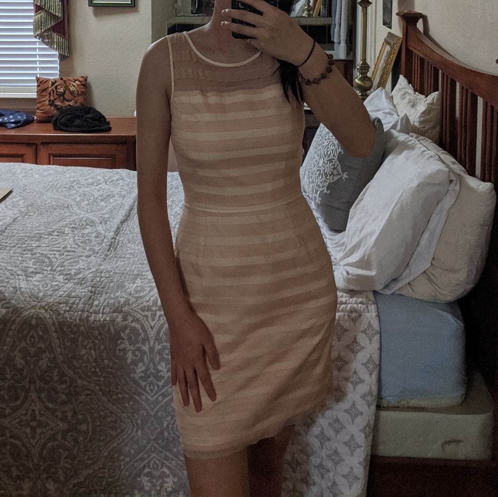 COPY - Gianni Bini pink dress